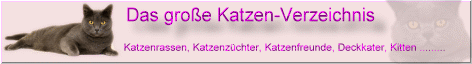 Banner_Katzenrassen